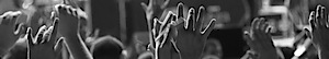 Manhattan Show's logo Manhattan Show's Company logo