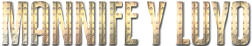 Mannife Y Luyo's logo Mannife Y Luyo's Company logo