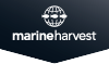 Marine Harvest's logo Marine Harvest's Company logo