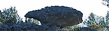 Mas De La Tortue's logo Mas De La Tortue's Company logo