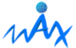 Max Vision Solutions