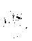 McConnell Consulting