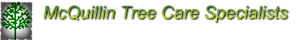 Mcquillin Tree Care Specialists