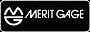 Taloneng's Competitor - Merit Gage logo