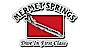Mermet Springs's company profile