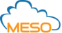 MESO, Inc.