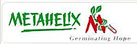 Metahelix's logo Metahelix's Company logo