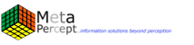 Metapercept Information Solutions & Consulting's logo Metapercept Information Solutions & Consulting's Company logo