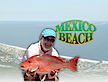 Mexico Beach Charters . Com's logo Mexico Beach Charters . Com's Company logo