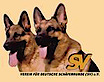 Miami German Shepherd Puppies For Sale