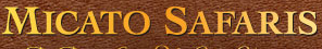 Micato Safaris's logo Micato Safaris's Company logo