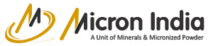 Micron India