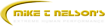 Mike T Nelson Fitness Consulting's company profile