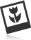 Milivojac's logo Milivojac's Company logo
