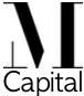 Millitzer Capital's logo Millitzer Capital's Company logo