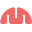 Newxel's Competitor - Mind Studios logo