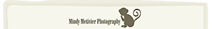 Mindy Metivier Photography