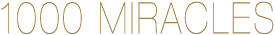 1000Miracles's logo 1000Miracles's Company logo