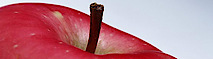 Miss Clark Tutors's logo Miss Clark Tutors's Company logo
