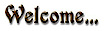 Mizmedia Publishing Group