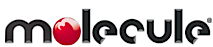 Molecule Corp.