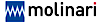 Skoda Transtech's Competitor - Molinari Rail logo