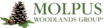 Molpus