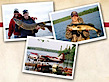 Moose Point Lodge's logo Moose Point Lodge's Company logo