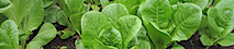 Mooseview Farm's logo Mooseview Farm's Company logo