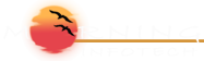 Morning Infotech's logo Morning Infotech's Company logo