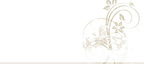 Mountain State Medical Specialties's logo Mountain State Medical Specialties's Company logo