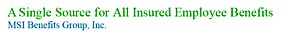 Msi Benefits Group