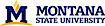 Montana State University