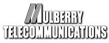 Mulberry