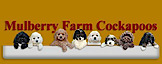 Mulberry Farm Kennel's logo Mulberry Farm Kennel's Company logo