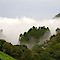 Munnar Green Tourism