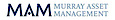 Wealthhorizon's Competitor - MAM logo