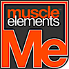 Muscle Elements