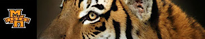 Muskegon Heights Tigers