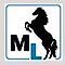 Neighborlytics's Competitor - Mustanginternet logo
