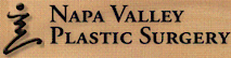 N V P S's logo N V P S's Company logo