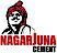 Nagarjuna Cement