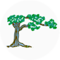 Nahial Landscaping