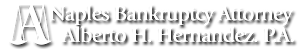 Naples Bankruptcy Lawyer's logo Naples Bankruptcy Lawyer's Company logo