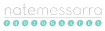 Natemessarra's logo Natemessarra's Company logo