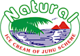 Natural Ice Cream's logo Natural Ice Cream's Company logo