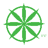 Naturally Mystic Organics's logo Naturally Mystic Organics's Company logo