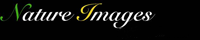 Natureimages's logo Natureimages's Company logo