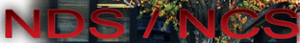Ndsncs