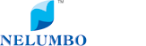 Zjnelumbo's logo Zjnelumbo's Company logo